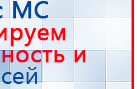 ЧЭНС-01-Скэнар-М купить в Нижневартовске, Аппараты Скэнар купить в Нижневартовске, Медицинская техника - denasosteo.ru